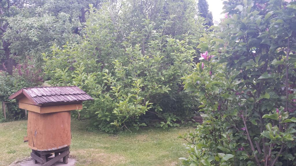 Kwiatowa Zagroda Farm stay