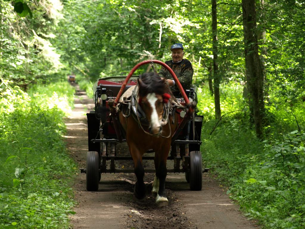 Kwiatowa Zagroda Bialowieza